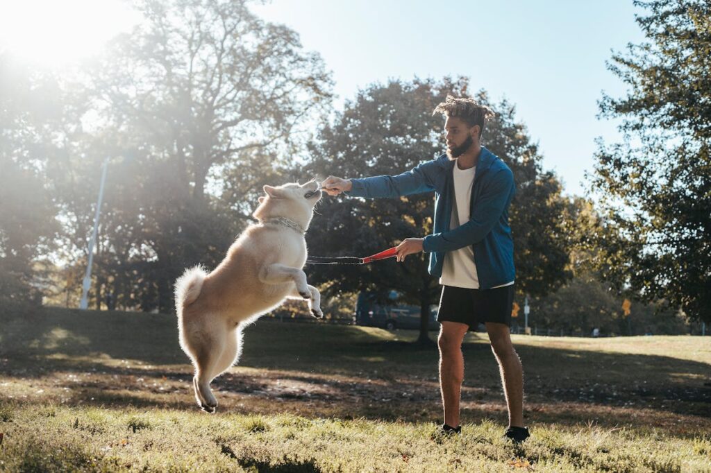 young black man playing with dog while training in park