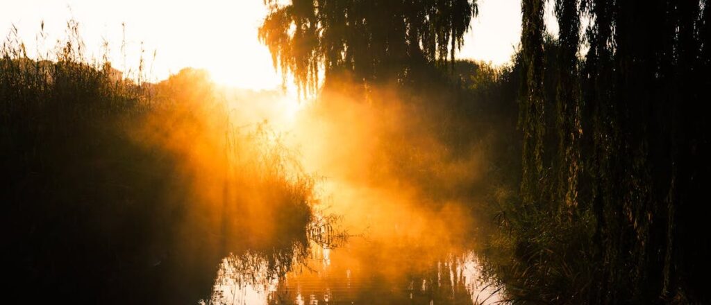 Sunrise over a swamp with mist rising from the water.