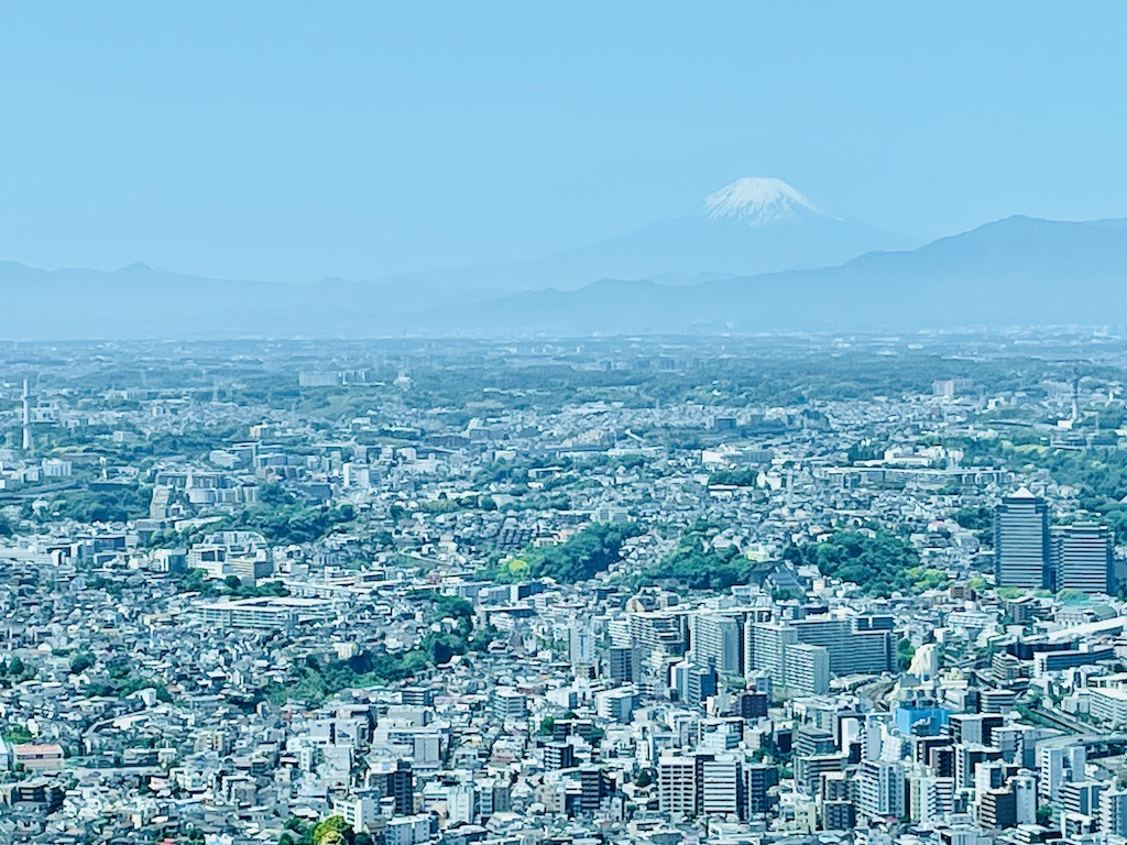 Panoramic view of Tokyo with Mount Fuji in the background.