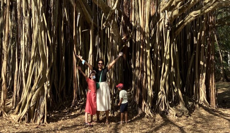 Family enjoying a walking safari in front of a large tree with twisted roots in Mombasa, Kenya.