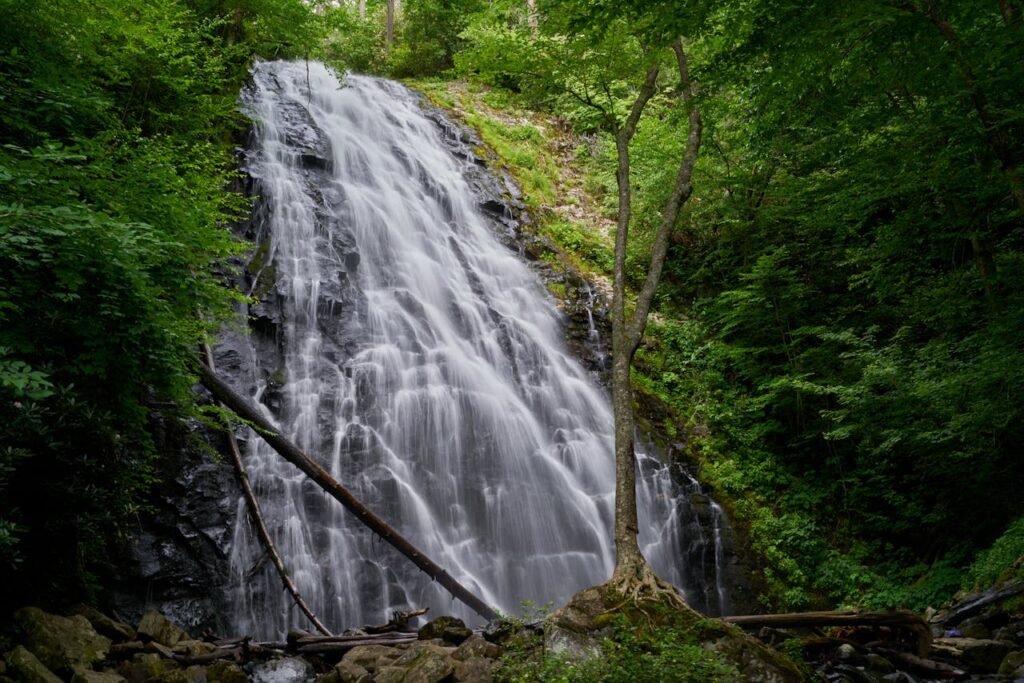 Scenic waterfall hike during an Oconee County SC family trip.