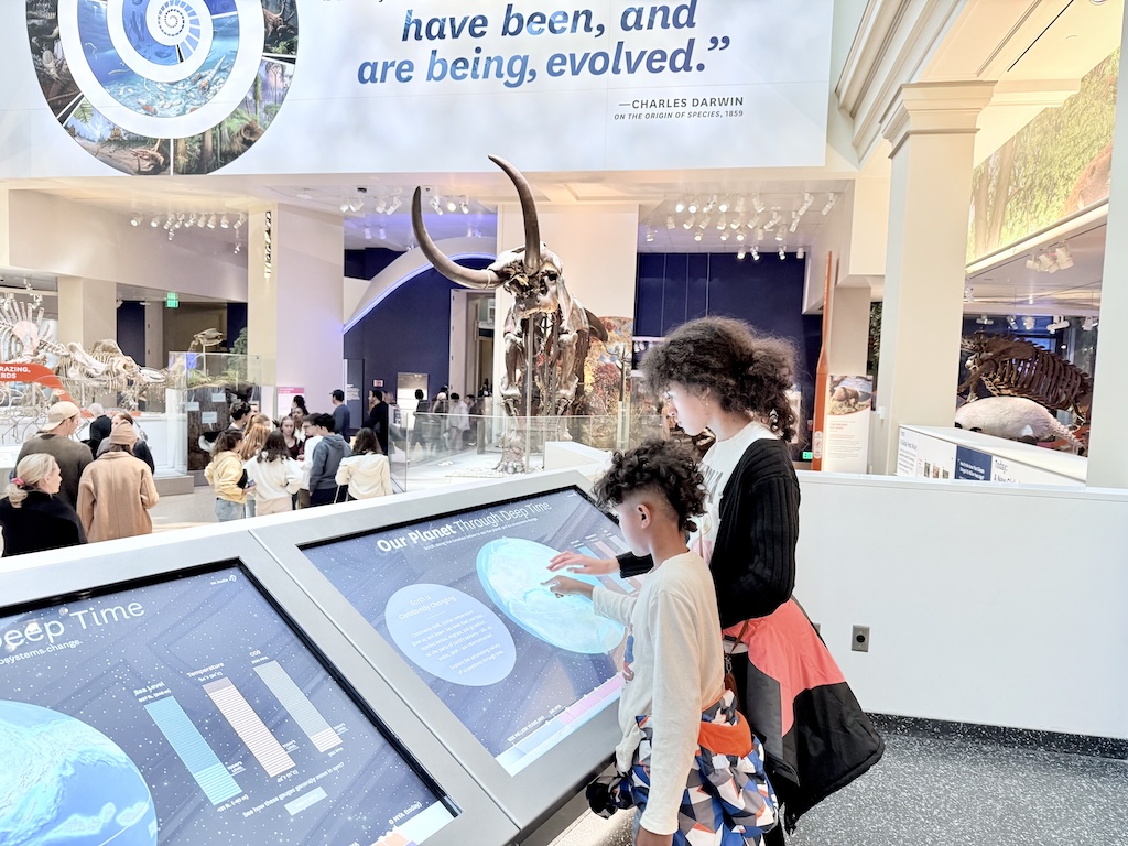 Kids engaging with an interactive exhibit at the Smithsonian Museum during a family-friendly D.C. itinerary.